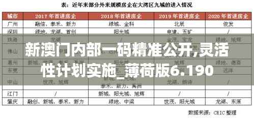 新澳门内部一码精准公开,灵活性计划实施_薄荷版6.190