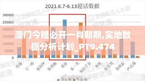 澳门今晚必开一肖期期,实地数据分析计划_PT9.474