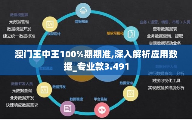 澳门王中王100%期期准,深入解析应用数据_专业款3.491