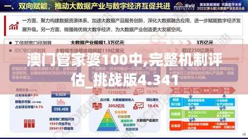 澳门管家婆100中,完整机制评估_挑战版4.341