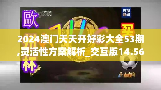 2024澳门天天开好彩大全53期,灵活性方案解析_交互版14.565