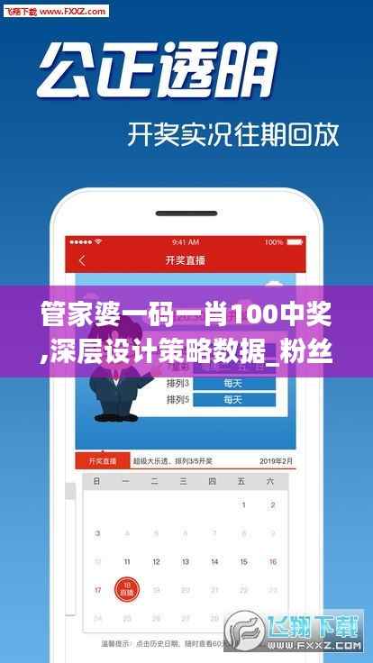 管家婆一码一肖100中奖,深层设计策略数据_粉丝版7.437
