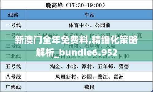新澳门全年免费料,精细化策略解析_bundle6.952