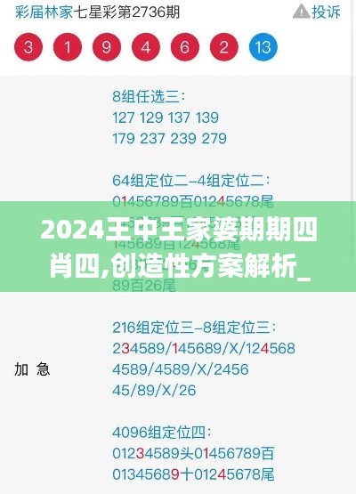 2024王中王家婆期期四肖四,创造性方案解析_5DM9.287