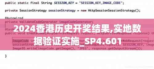 2024香港历史开奖结果,实地数据验证实施_SP4.601
