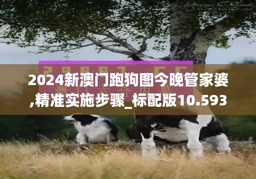 2024新澳门跑狗图今晚管家婆,精准实施步骤_标配版10.593