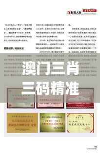 澳门三肖三码精准100%新华字典,创新计划分析_限量款8.699