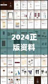 2024正版资料免费大全,适用策略设计_P版4.173