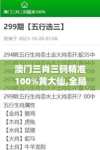 澳门三肖三码精准100%黄大仙,全局性策略实施协调_P版2.106