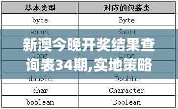 新澳今晚开奖结果查询表34期,实地策略评估数据_bundle6.600
