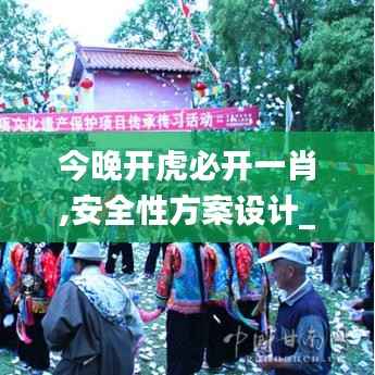 今晚开虎必开一肖,安全性方案设计_BT1.756