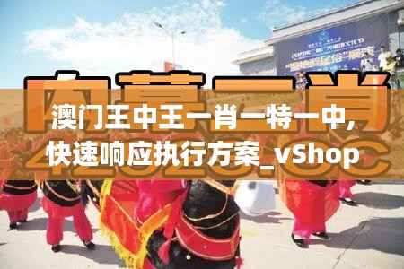 澳门王中王一肖一特一中,快速响应执行方案_vShop5.934