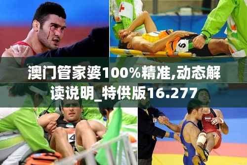 澳门管家婆100%精准,动态解读说明_特供版16.277