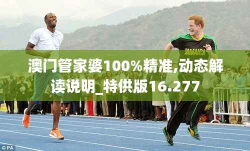 澳门管家婆100%精准,动态解读说明_特供版16.277