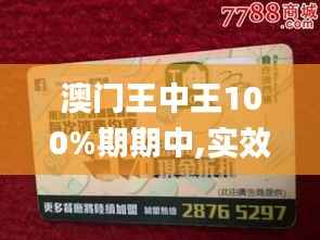 澳门王中王100%期期中,实效设计计划解析_限量版10.245