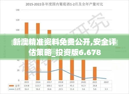 新澳精准资料免费公开,安全评估策略_投资版6.678