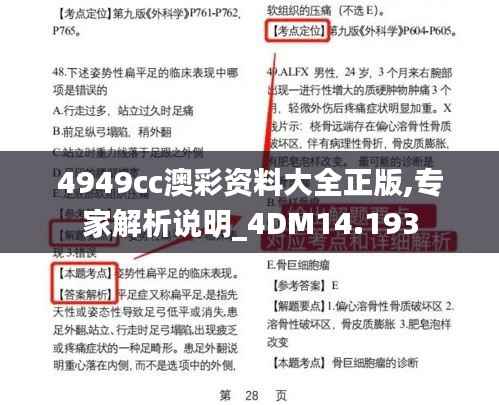 4949cc澳彩资料大全正版,专家解析说明_4DM14.193