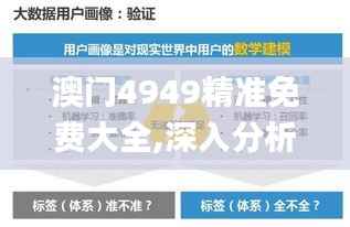 澳门4949精准免费大全,深入分析数据应用_Plus3.668