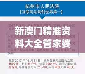 新澳门精准资料大全管家婆料,数据导向实施步骤_标准版9.927