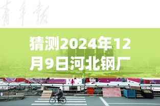 揭秘河北钢厂停产最新动态,倒计时开始?深度影响与未来趋势分析(2024年12月9日)