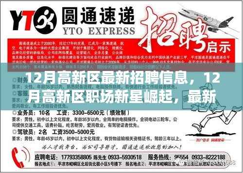 揭秘最新招聘大潮,高新区职场新星崛起与十二月招聘信息汇总
