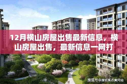 12月横山房屋出售最新信息汇总，购房者福音，一网打尽房源资讯