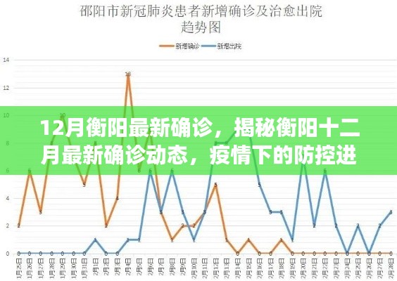 揭秘衡阳最新确诊动态,疫情下的防控进展与应对策略