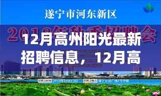 12月高州阳光招聘全景解析,最新职业机会与招聘信息一网打尽