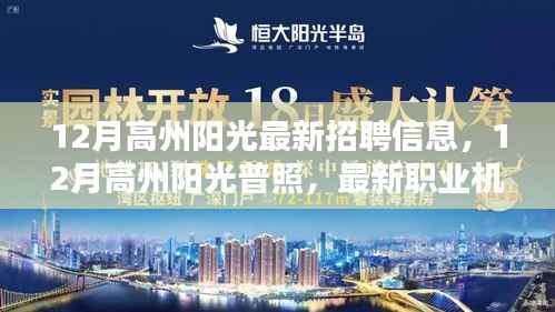 12月高州阳光招聘全景解析，最新职业机会与招聘信息一网打尽