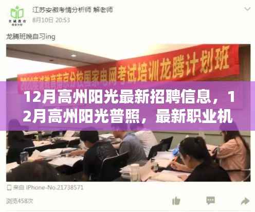 12月高州阳光招聘全景解析,最新职业机会与招聘信息一网打尽