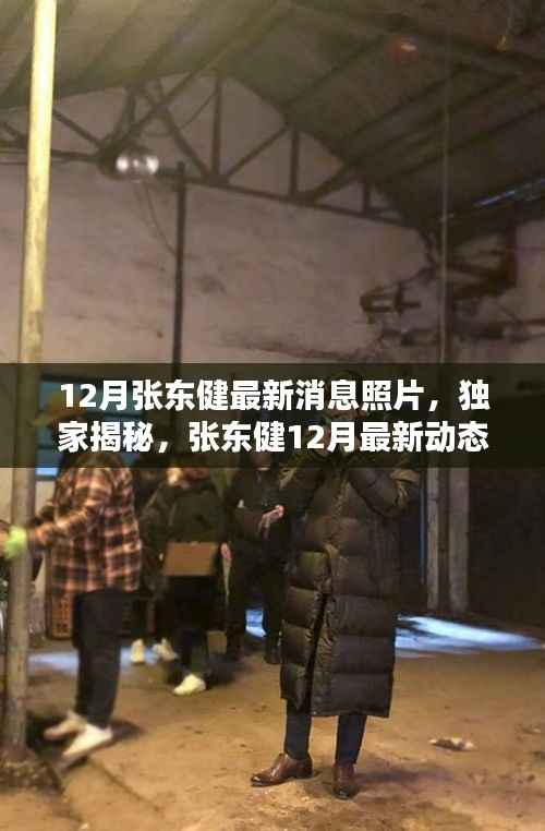 独家揭秘,张东健12月最新动态与魅力瞬间曝光