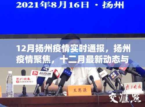 扬州疫情最新动态，十二月实时通报与聚焦