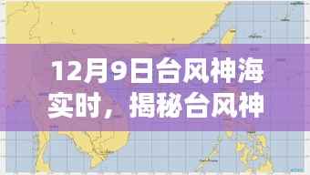 揭秘台风神海，实时动态与影响分析（12月9日更新）
