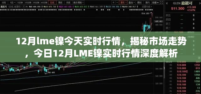 揭秘与深度解析,12月LME镍实时行情报告