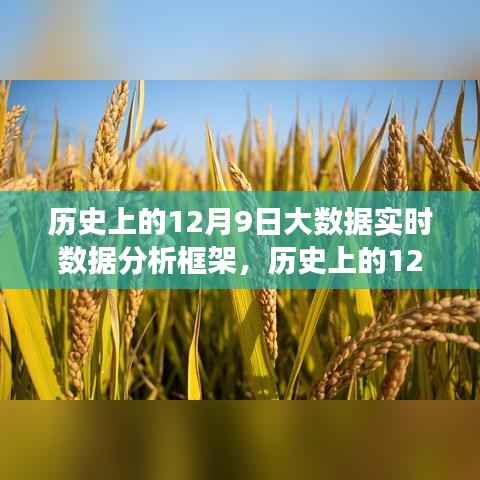 大数据实时分析框架下的数据洞察之旅，历史上的12月9日回顾与展望