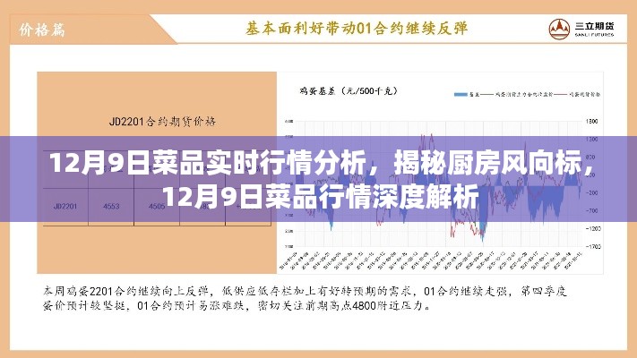 揭秘厨房风向标，深度解析12月9日菜品实时行情