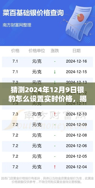 揭秘未来银豹实时价格设置,银豹软件在2024年12月9日的实时价格调整指南