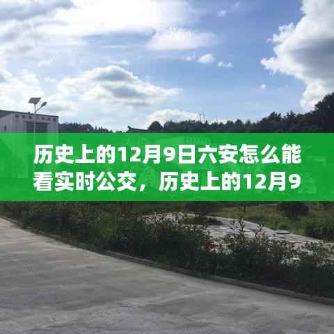 历史上的12月9日，六安实时公交的蜕变之路与实时查询指南