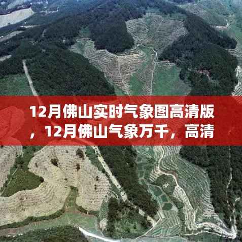 高清实时气象图揭示佛山冬季风云变幻