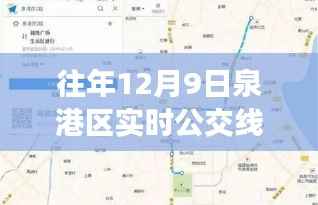 泉港区往年12月9日实时公交线路图概览与实时运行信息解析