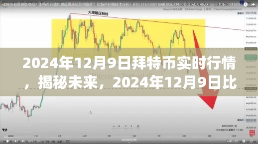 揭秘未来比特币市场深度解析与实时行情洞察，2024年比特币市场展望与行情预测（附实时行情）