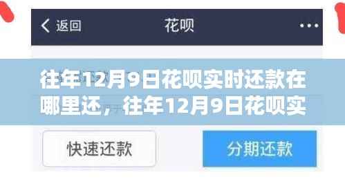 往年12月9日花呗实时还款攻略，轻松掌握还款入口与步骤详解。