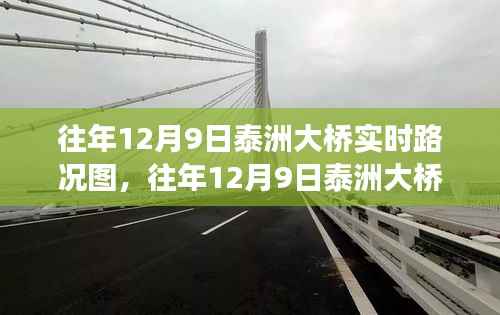 往年12月9日泰洲大桥实时路况深度解析与交通脉搏揭秘