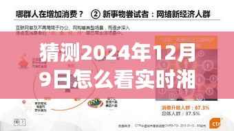 揭秘未来湘江水位动态，掌握长沙湘江段实时水位预测与实时信息解读（2024年12月9日）