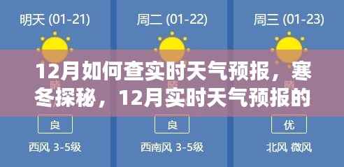 12月实时天气预报查询攻略，寒冬探秘，精准掌握每日天气变化