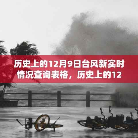 揭秘历史上的12月9日台风实时动态,最新查询表格揭示最新情况