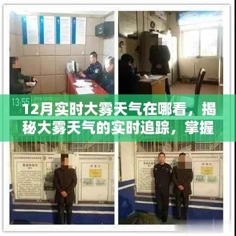 揭秘大雾天气的实时追踪，掌握十二月大雾情报，保障出行安全，实时大雾天气查询指南