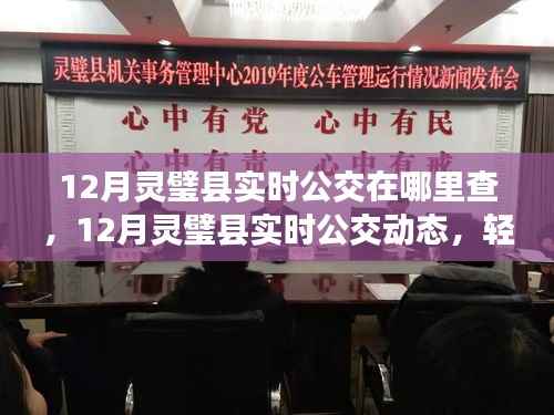 12月灵璧县实时公交查询指南,动态掌握,出行更无忧!