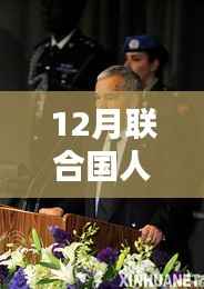 全球人口动态深度解析，联合国十二月最新数据报告揭秘人口趋势