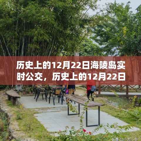 历史上的海陵岛公交变迁，追溯公交发展，见证城市发展的历史脉络——12月22日实时公交回顾